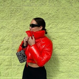 Zara Shiny Cropped Puffer Jacket